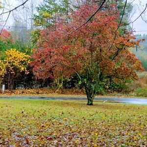 Meet your Posher, Judy